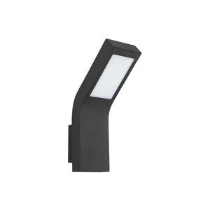 Emithor LED Venkovní nástěnné svítidlo SOY LED/10W/230V černá IP54 obraz