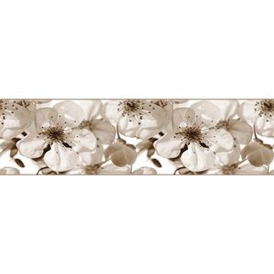 AG Art Samolepicí bordura Jabloňový květ, 500 x 14 cm obraz
