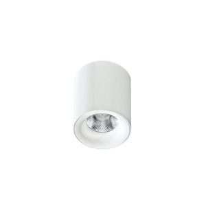 Azzardo Azzardo - LED Stropní svítidlo MANE 1xLED/10W/230V obraz