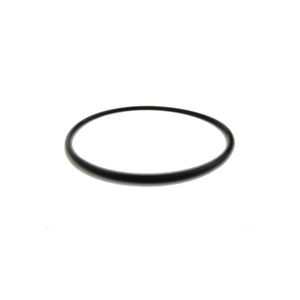 Marimex | Těsnění víka filtrační nádoby Prostar | 10604163 obraz