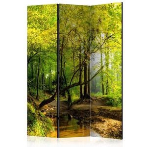 Paraván Forest Clearing Dekorhome 135x172 cm (3-dílný) obraz