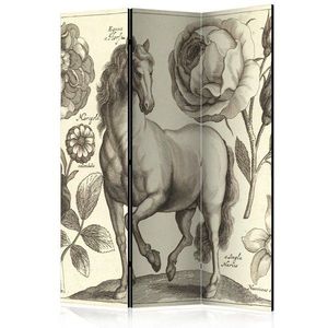 Paraván Horse Dekorhome 135x172 cm (3-dílný) obraz