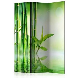 Paraván Green Bamboo Dekorhome 135x172 cm (3-dílný) obraz