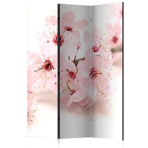 Paraván Cherry Blossom Dekorhome 135x172 cm (3-dílný) obraz