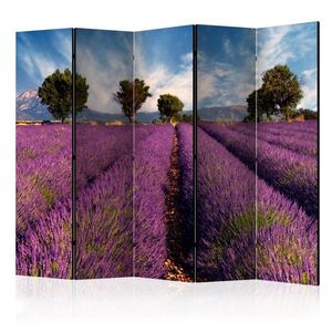 Paraván Lavender field in Provence, France Dekorhome 225x172 cm (5-dílný) obraz