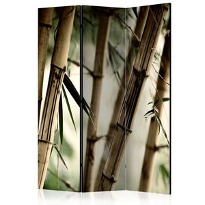 Paraván Fog and bamboo forest Dekorhome 135x172 cm (3-dílný) obraz