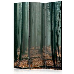 Paraván Witches' forest Dekorhome 135x172 cm (3-dílný) obraz