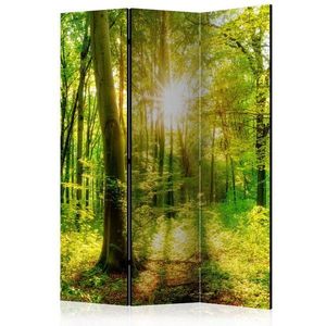 Paraván Forest Rays Dekorhome 135x172 cm (3-dílný) obraz