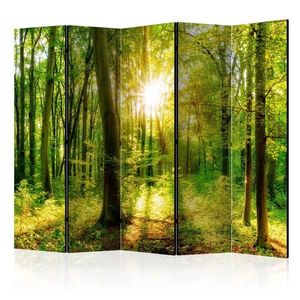 Paraván Forest Rays Dekorhome 225x172 cm (5-dílný), Paraván Forest Rays Dekorhome 225x172 cm (5-dílný) obraz