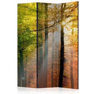 Paraván Forest Colours Dekorhome 135x172 cm (3-dílný) obraz