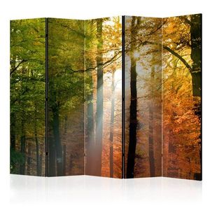 Paraván Forest Colours Dekorhome 225x172 cm (5-dílný) obraz