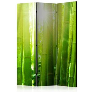 Paraván Sun and bamboo Dekorhome 135x172 cm (3-dílný) obraz