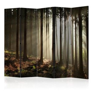 Paraván Coniferous forest Dekorhome 225x172 cm (5-dílný) obraz