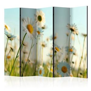 Paraván Daisies - spring meadow Dekorhome 225x172 cm (5-dílný) obraz