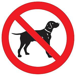Zákaz vstupu se psem - symbol obraz
