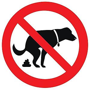 Zákaz venceni psu - samolepka 150x150 mm tl. 0.1 mm obraz