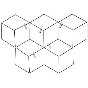 Mřížka na fotky qubo, 53, 5x37 cm obraz