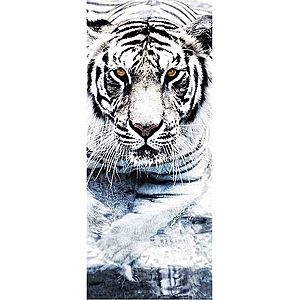 Dekor skleněný - tygr 20/50 obraz