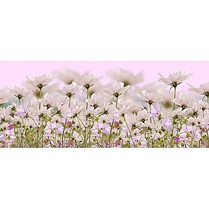 Dekor skl. bílé květiny 1 20/50 obraz