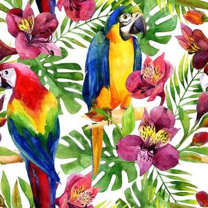 Skleněný panel 60/60 Jungle Birds-2 Esg obraz