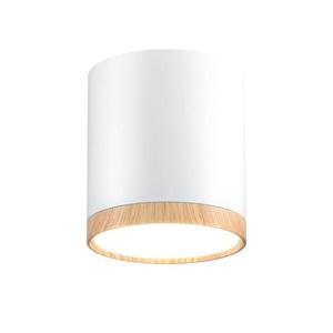 LED Stropní svítidlo TUBA LED/5W/230V bílá/béžová obraz