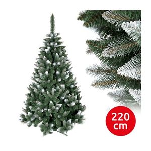 Vánoční stromek TEM 220 cm borovice obraz