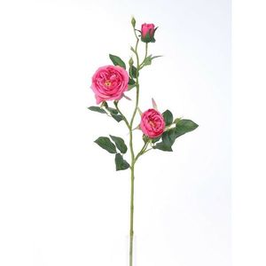 Umělá anglická růže růžová, 69 cm obraz