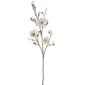 Dekorační květina bílá Magnolia - 119cm 93004 obraz