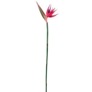 Dekorační květina růžová Strelitzia - 107cm 93910 obraz