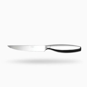 Steakový nůž s dutou rukojetí 23, 5cm - lesklý – Touch me obraz