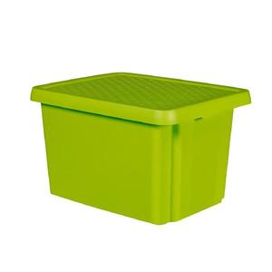 Box s víkem Essentials 26l zelený Curver obraz