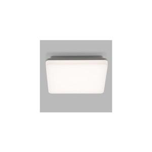 LED2 1230851 obraz