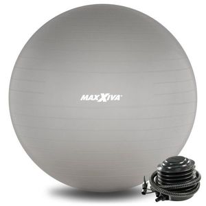 MAXXIVA® 81587 MAXXIVA Gymnastický míč Ø 55 cm s pumpičkou, stříbrný obraz