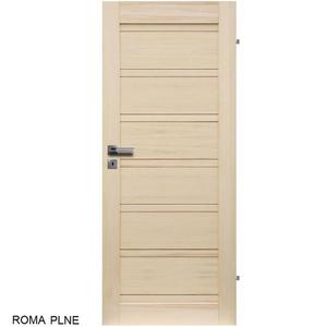 Interiérové dřevěné dveře ROMA obraz