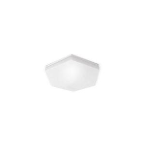 LED Koupelnové stropní svítidlo HEXAN LED/24W/230V IP54 obraz