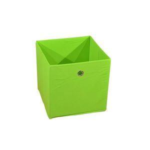 Úložný box GOLO, zelený obraz