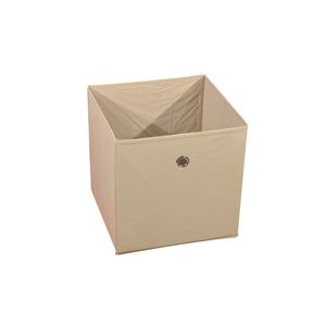 Úložný box GOLO, béžový obraz