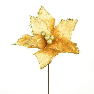 Vánoční květina Ponsettie třpytivá, 25 x 30 cm, šampaň obraz