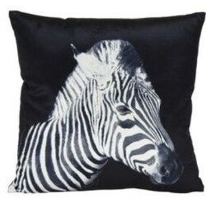 Polštářek Zebra, 45 x 45 cm obraz