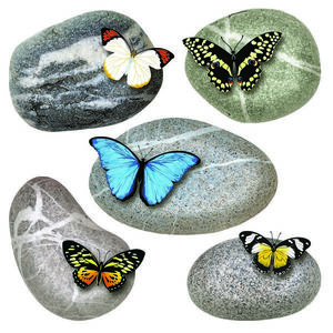 Samolepicí dekorace Butterflies on Stones, 30 x 30 cm obraz