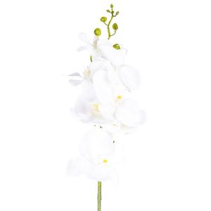 Umělá Orchidej čistě bílá, 86 cm obraz