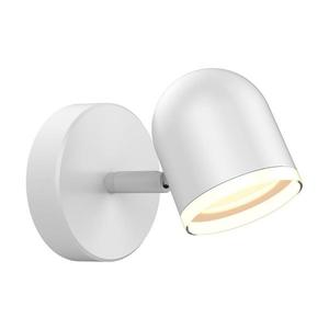 LED Nástěnné bodové svítidlo RAWI LED/4, 2W/230V bílá obraz