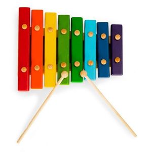 Dřevěný xylofon pro děti EcoToys barevný obraz