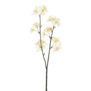 Větvička se žluto-bílými květy Julien - 8*5*46 cm 51733 obraz