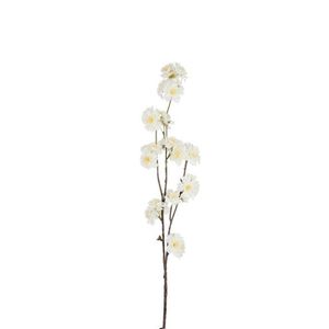 Dekorační umělá větvička s krémovými květy Kersenboom - 77, 5 cm 60021 obraz
