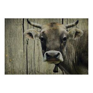 Rohožka s motivem švýcarské krávy - 75*50*1cm RARMSCW obraz