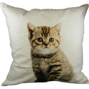 Bavlněný polštář Mourovaté kotě 50x50 cm - 50*10*50cm GKKSTG obraz