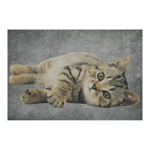 Šedá podlahová rohožka mourované kotě - 75*50*1cm RARMGTL obraz
