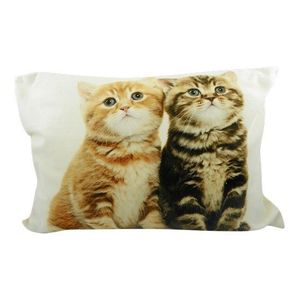 Béžový obdélníkový polštář s kočičkami - 50*10*35cm GKHKKBK2 obraz