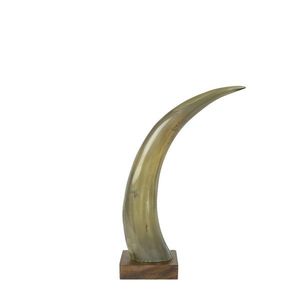 Dekorativní roh Bizon na dřevěném podstavci - 35cm HEHH35 obraz